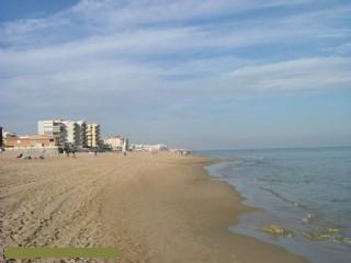 Guademar beech Guademar beech